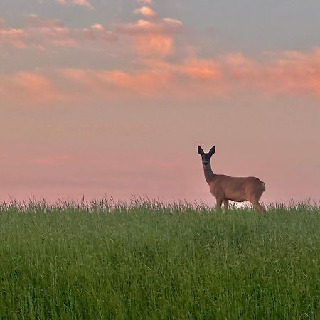 Dolina Sarenek Hotel Sejny Buitenkant foto