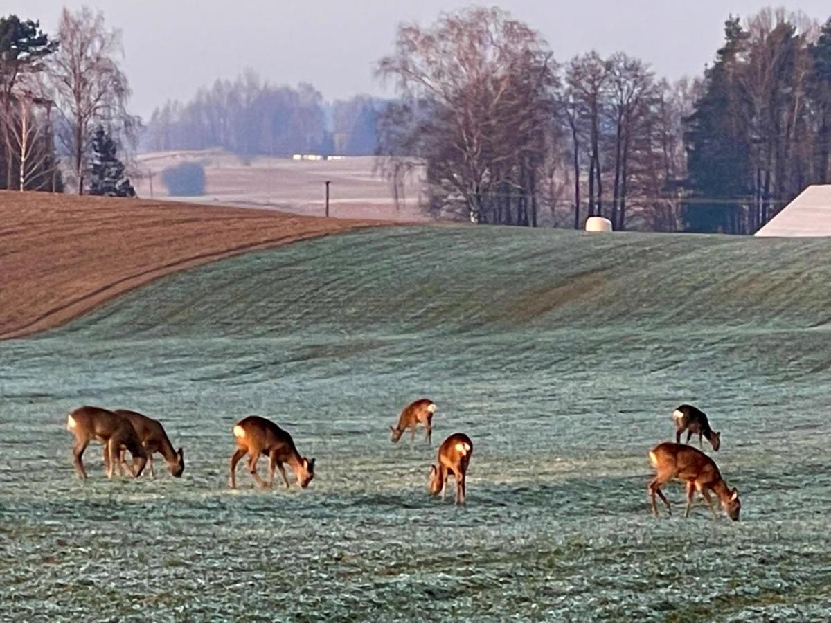 Dolina Sarenek Hotel Sejny Buitenkant foto