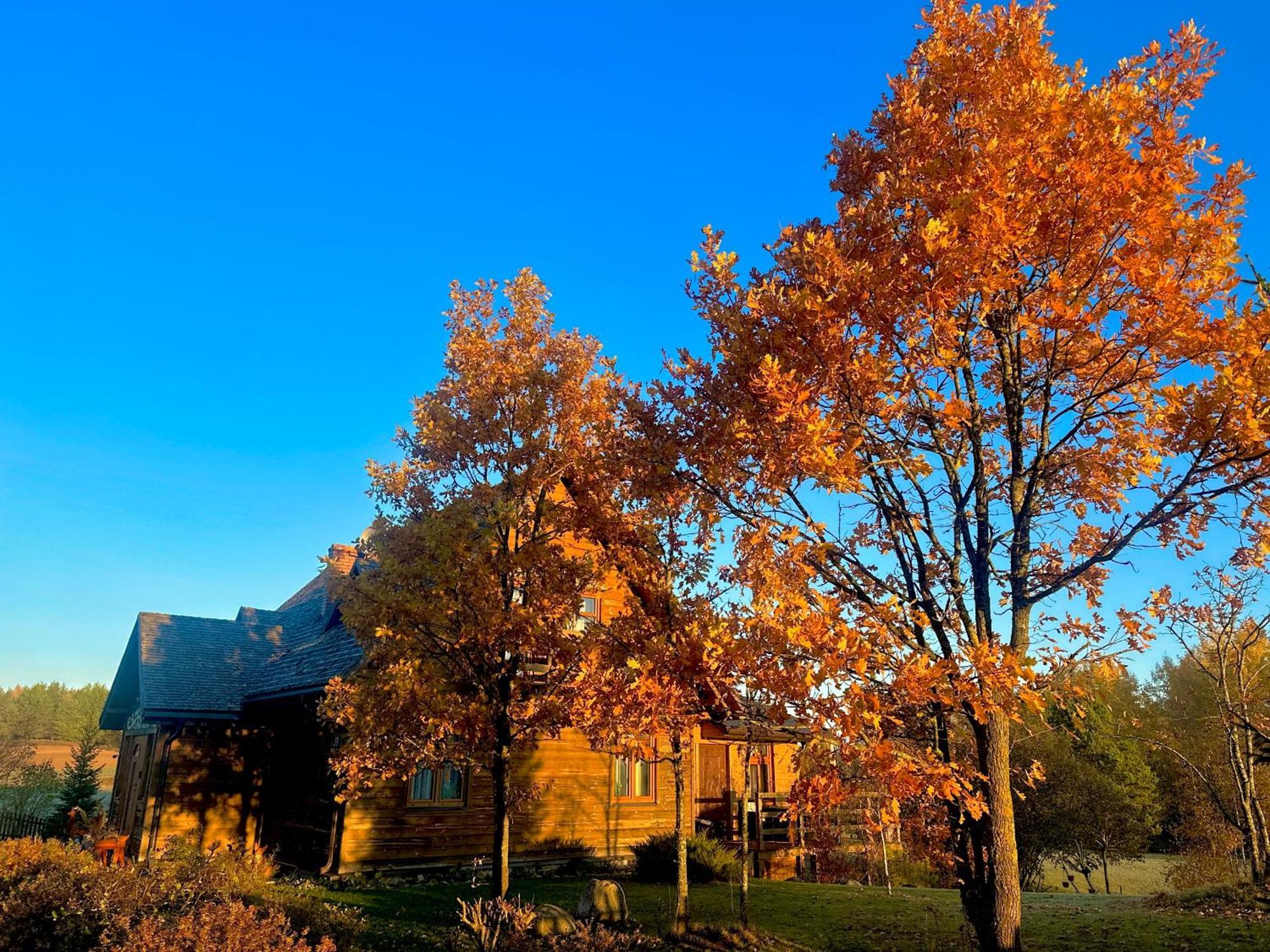 Dolina Sarenek Hotel Sejny Buitenkant foto