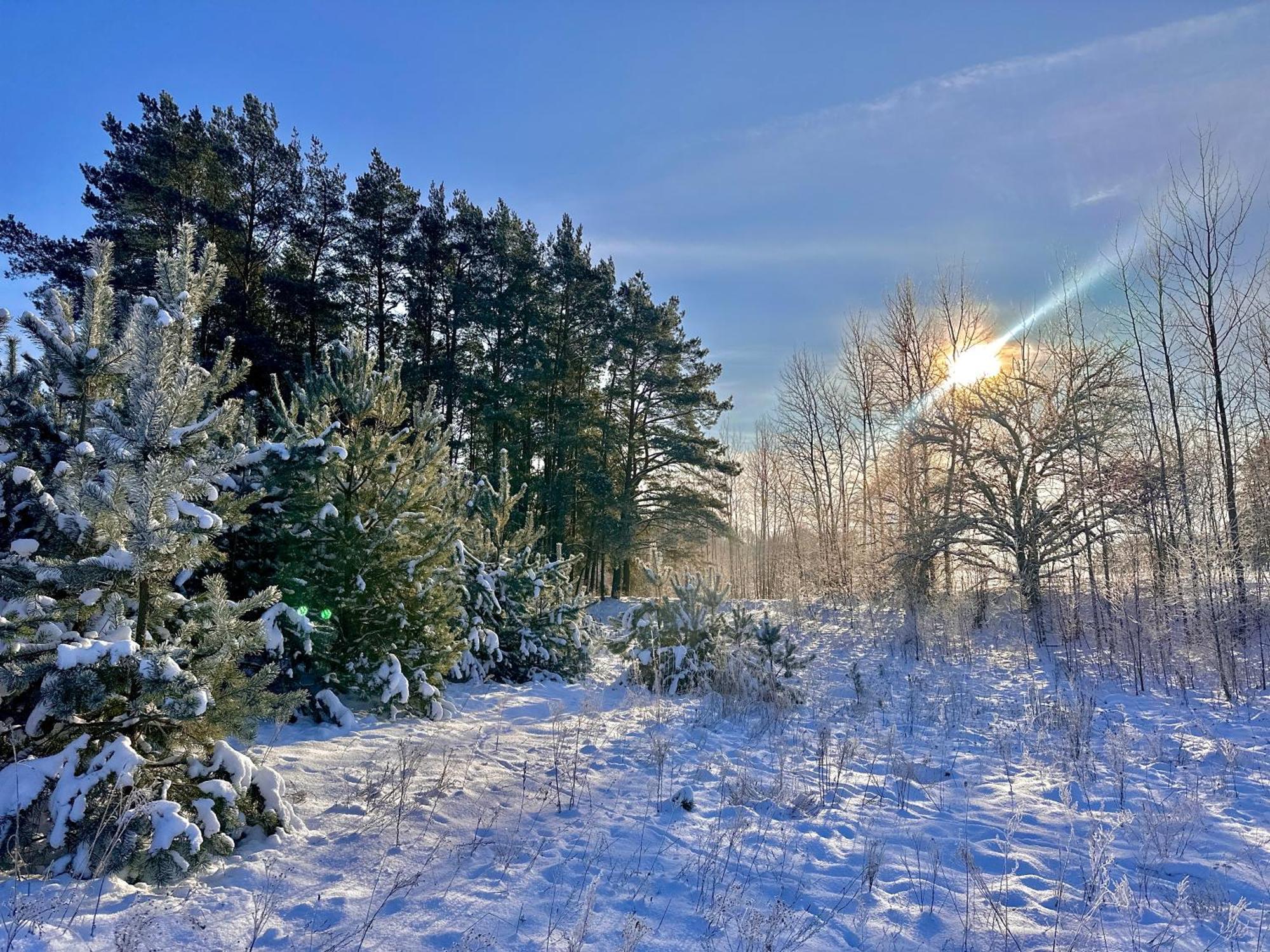 Dolina Sarenek Hotel Sejny Buitenkant foto